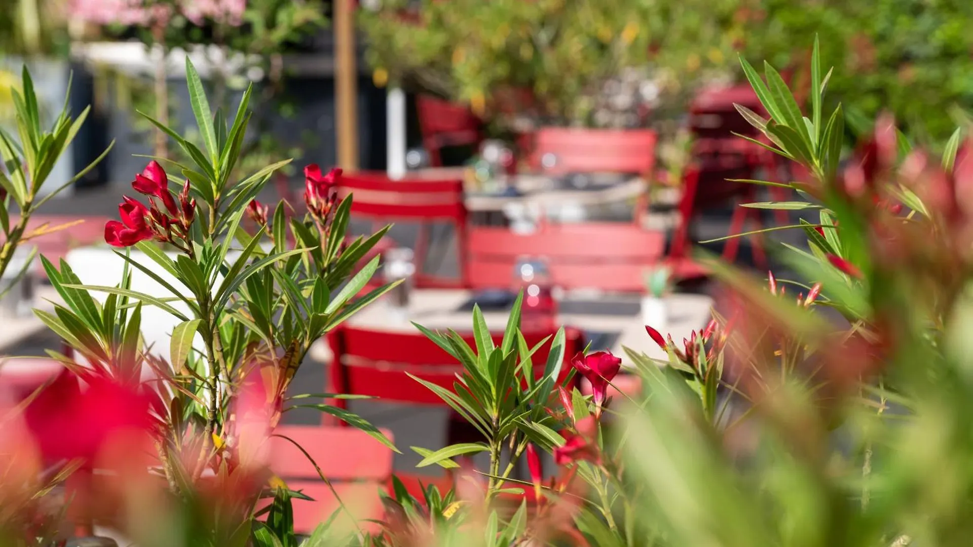 Hotel Novotel Grenoble Nord Voreppe